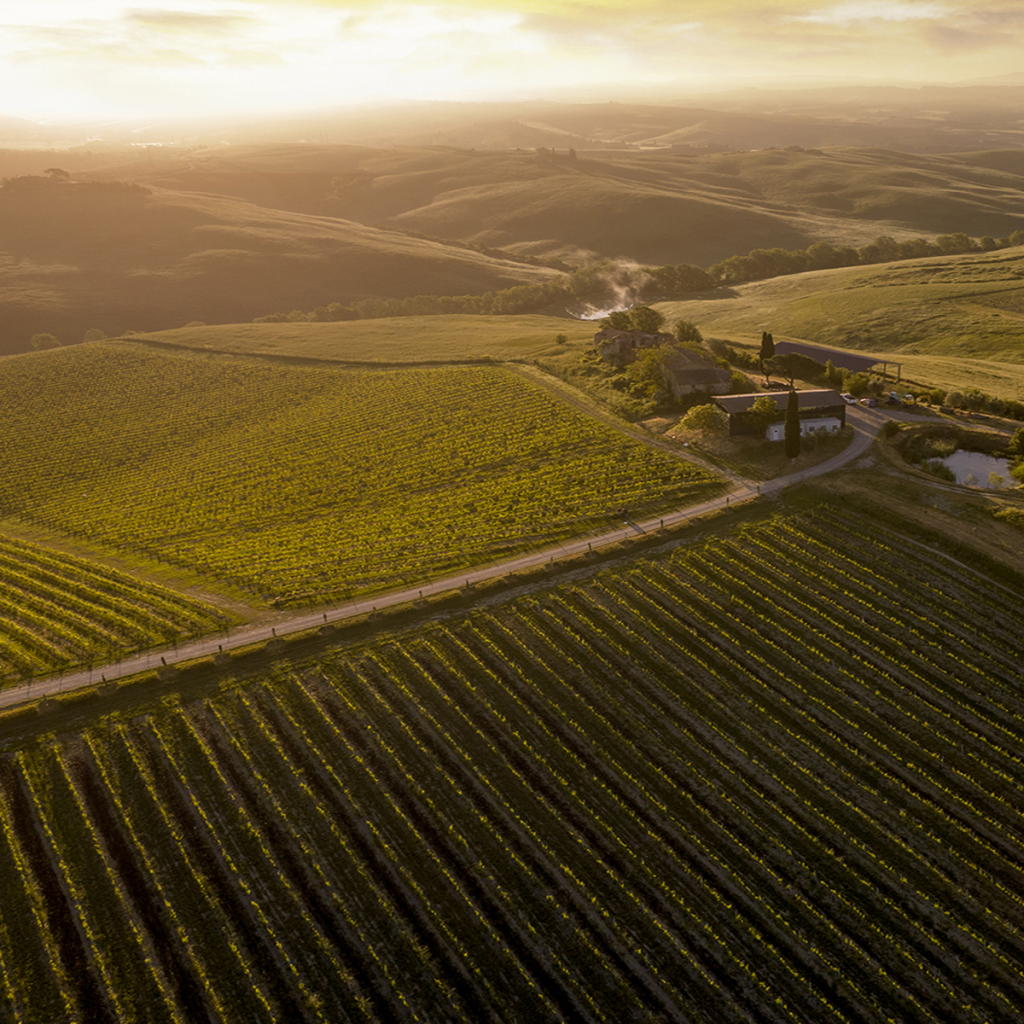 Product image for Gaja Pieve Di Santa Restituta Brunello di Montalcino
