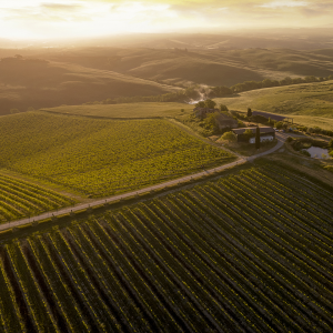 Product image for Gaja Pieve Di Santa Restituta Brunello di Montalcino