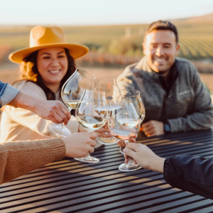 Product image for Shelter Bay Marlborough Sauvignon Blanc