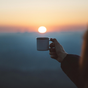 Product image for JD Shore Cream Collection Shots