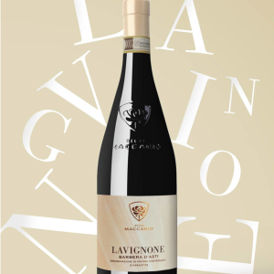 Product image for Pico Maccario Lavignone Barbera D'Asti DOCG