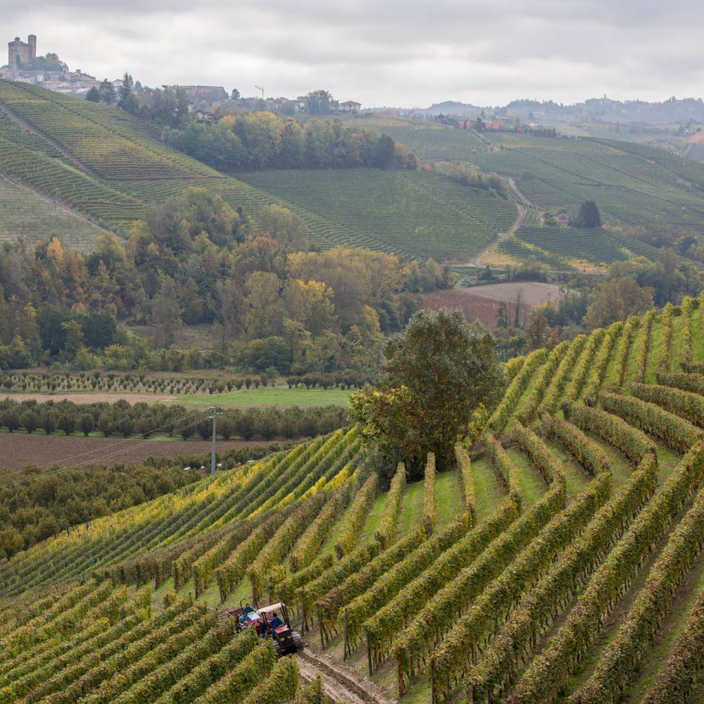 Product image for Cocchi Vermouth di Torino Extra Dry White