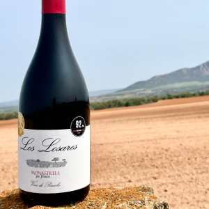 Product image for Piqueras Los Losares Monastrell