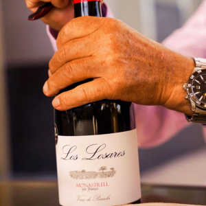 Product image for Piqueras Los Losares Monastrell