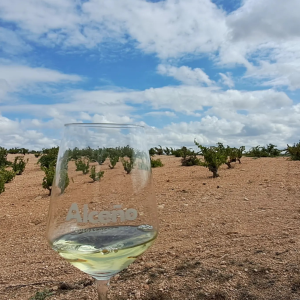 Product image for Alceno Sauvignon Blanc Fermented in Barrel