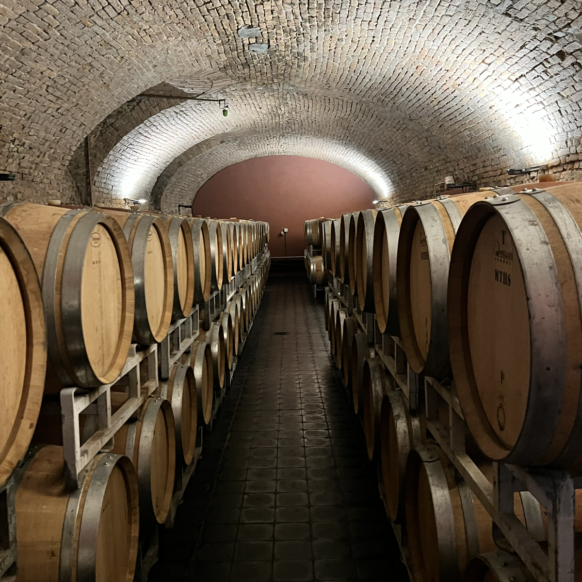 Product image for Gaja Darmagi Langhe DOP