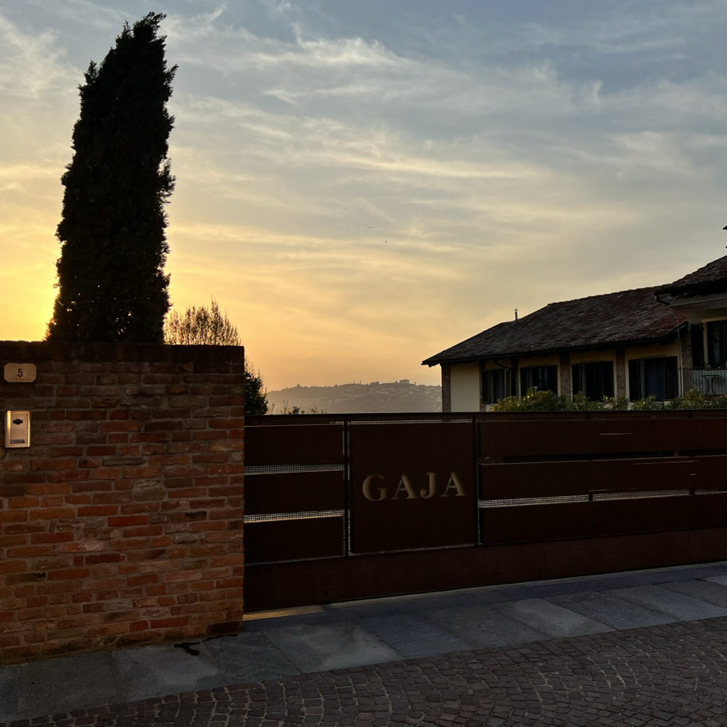 Product image for Gaja Rossj Bass