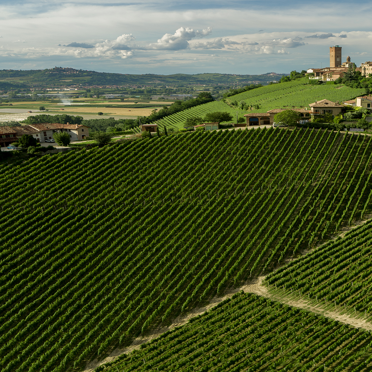 Product image for Gaja Conteisa Barolo DOP