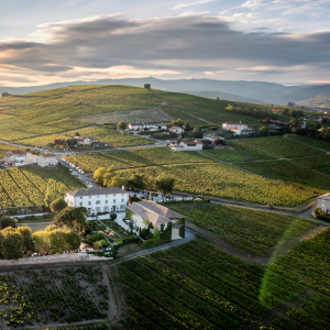 Product image for Deux Roches Pouilly Fuissé Vieilles Vignes