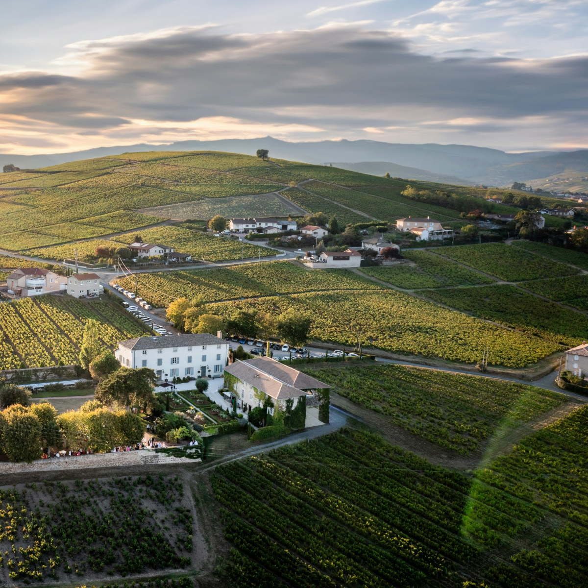 Product image for Deux Roches Pouilly Fuissé Vieilles Vignes