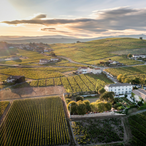 Product image for Deux Roches Mâcon Village Tradition