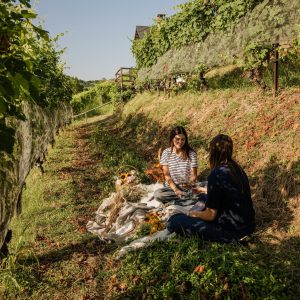 Product image for Michele Chiarlo Le Madri Roero Arneis