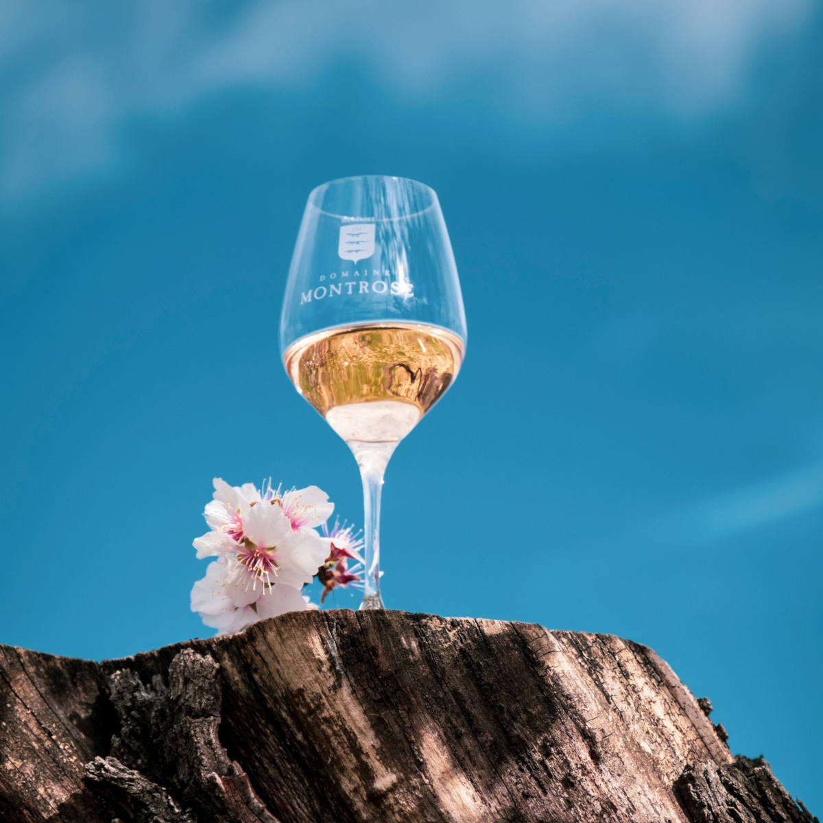 Product image for Domaine Montrose Solis Lumen Orange VDF