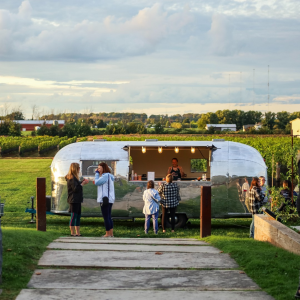 Product image for Tawse Cabernet Merlot