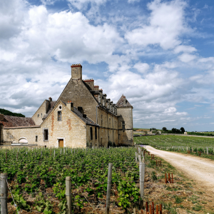 Product image for Moniot - Nie Santenay 1er Cru Clos des Gravières