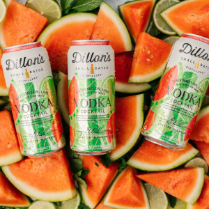 Product image for Dillon's - Vodka Watermelon Mint