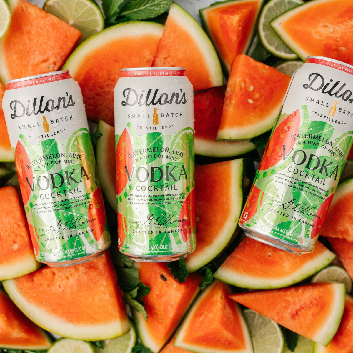 Product image for Dillon's - Vodka Watermelon Mint