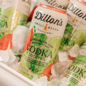 Product image for Dillon's - Vodka Watermelon Mint