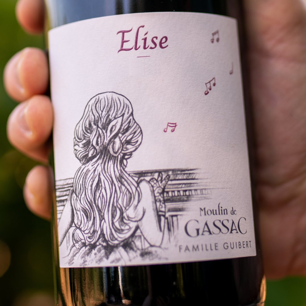 Product image for Moulin De Gassac Elise Rouge