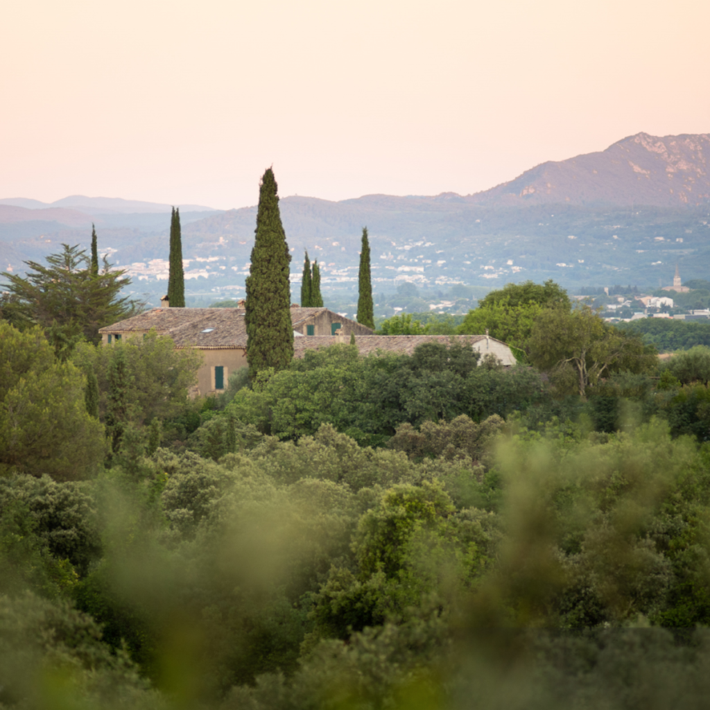 Product image for Moulin De Gassac Elise Rouge