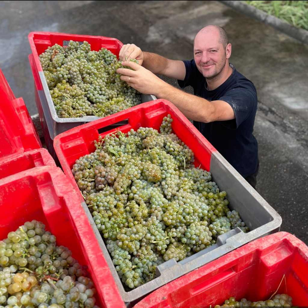 Product image for Moulin De Gassac Picpoul de Pinet