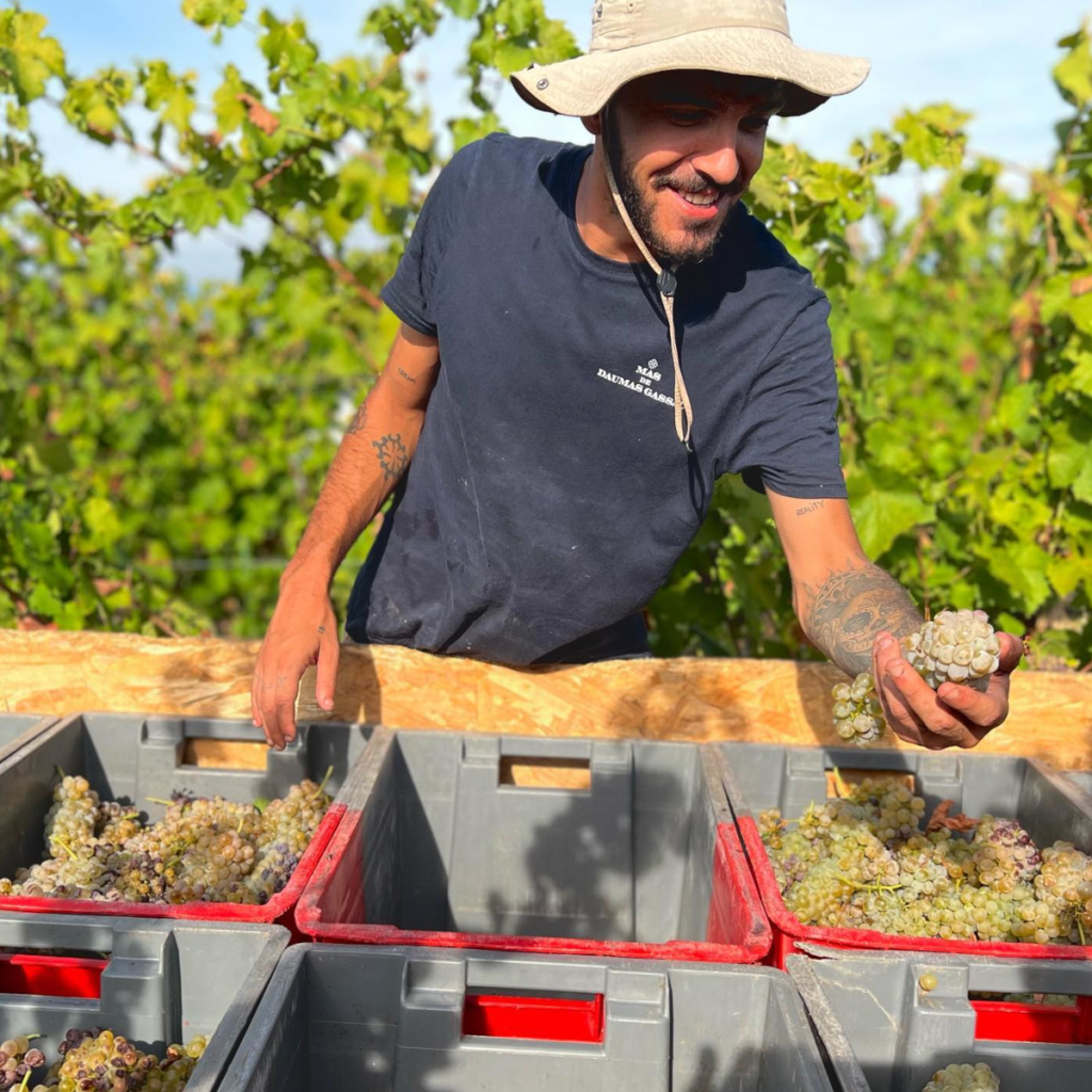 Product image for Moulin De Gassac Eraus Blanc