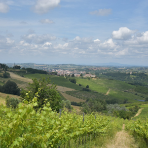 Product image for Fontaleoni Vernaccia San Gimignano