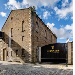 Product image for Guinness - Draught Stout