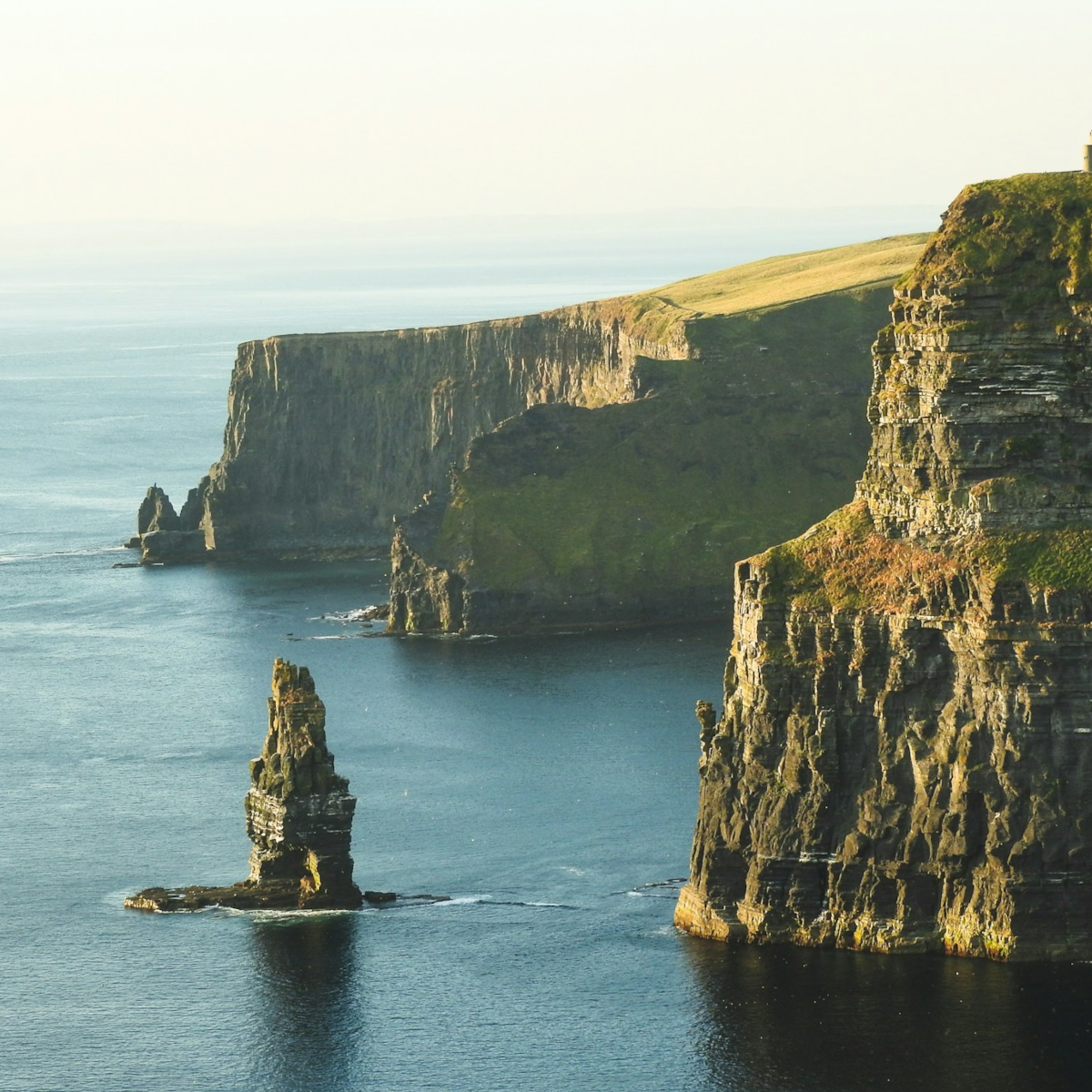 Product image for Eiregold Special Reserve Blended