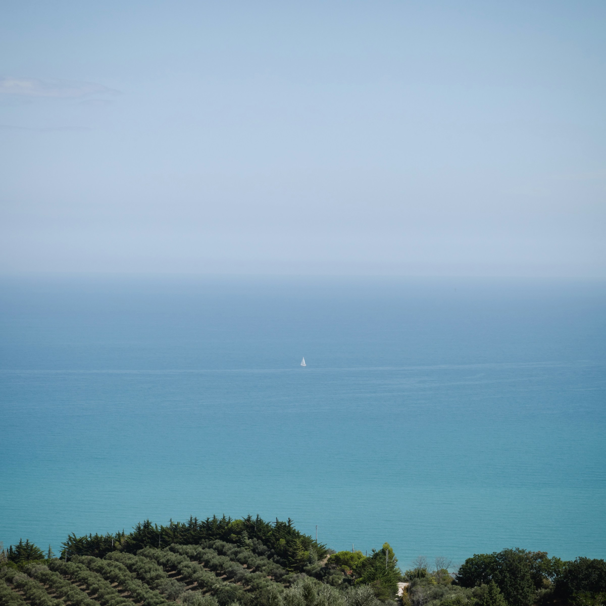 Product image for La Valentina Pecorino D'Abruzzo