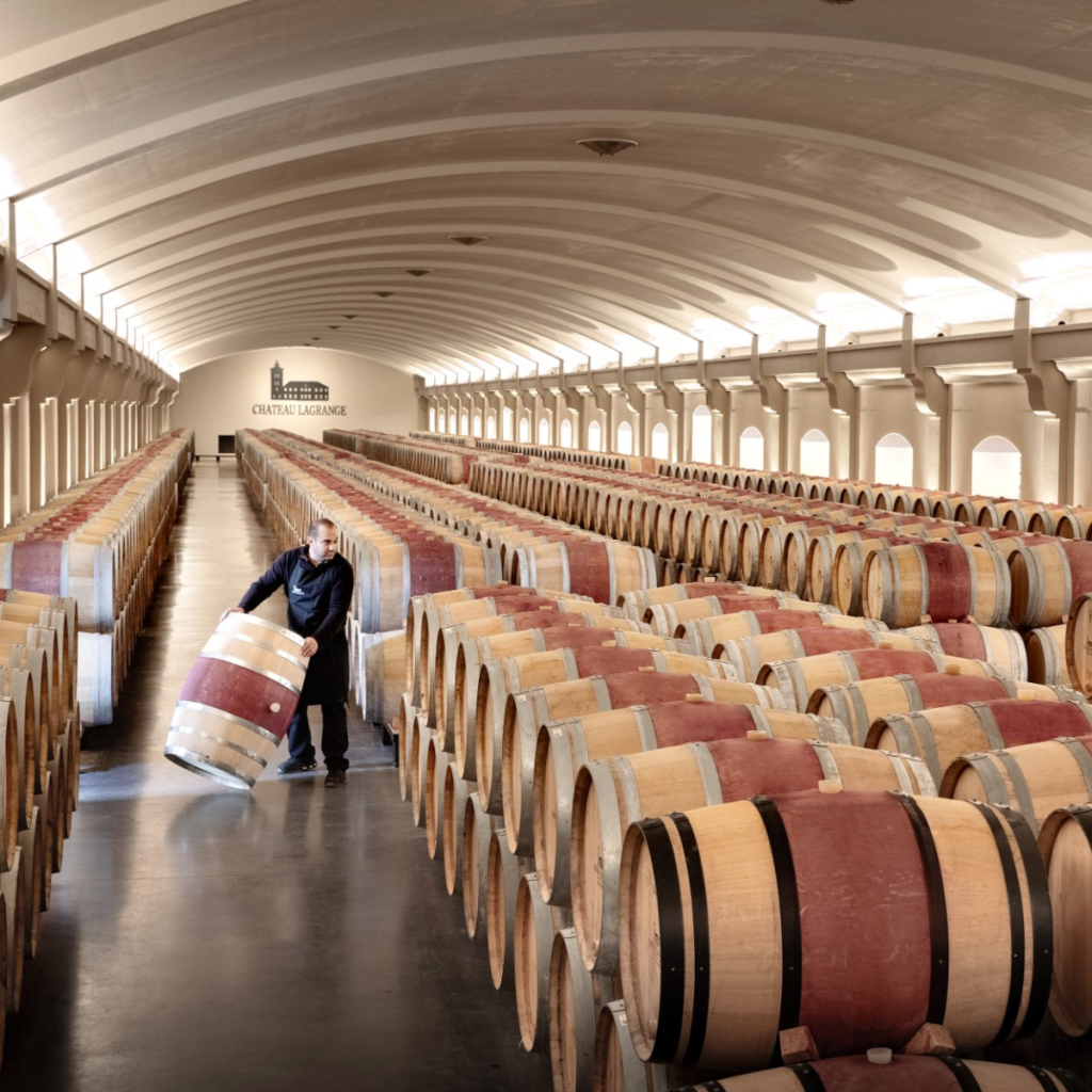 Product image for Fiefs De Lagrange Saint Julien 2021