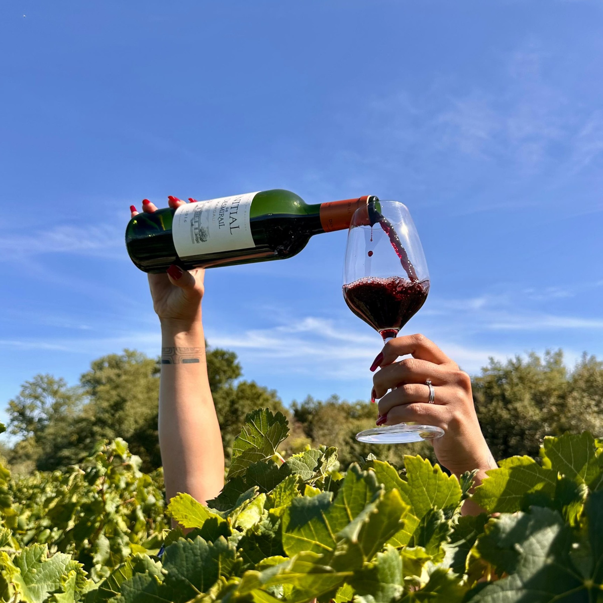 Product image for Chateau DesMirail AOC Margaux 2016