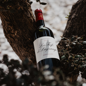 Product image for Fiefs De Lagrange Saint Julien 2021