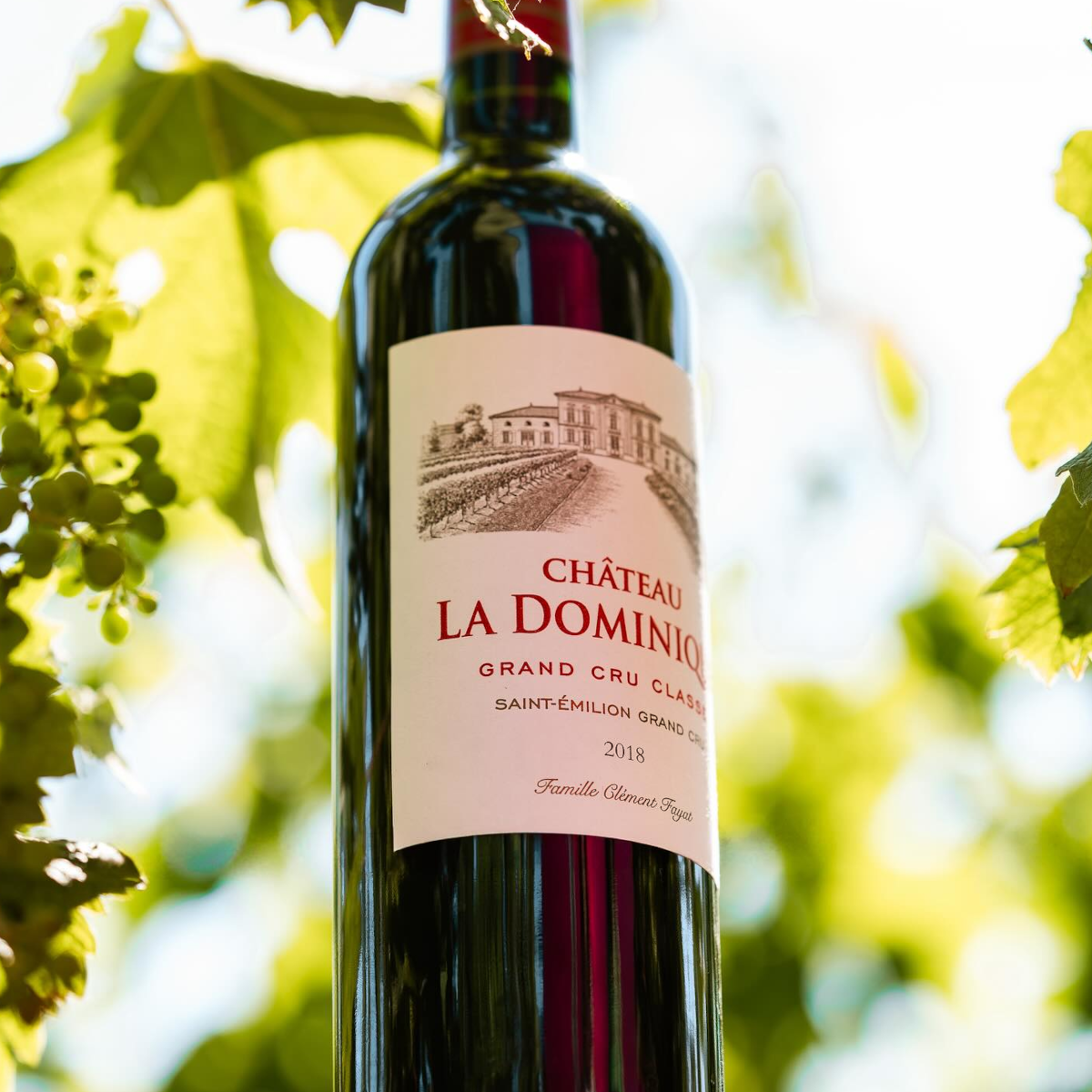 Product image for Chateau La Dominique Saint Emilion 2016