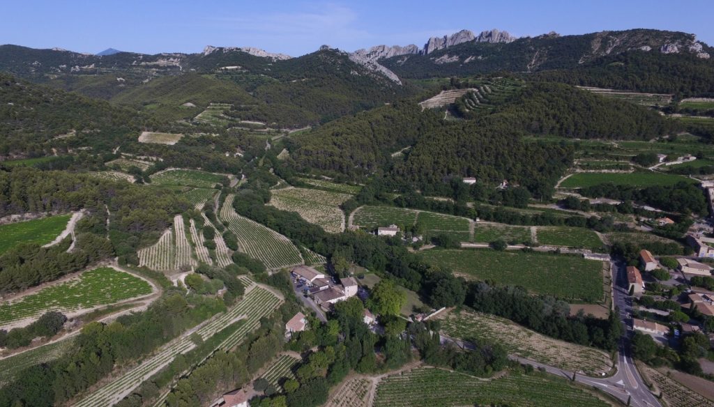 Product image for Micro Cosme Blanc