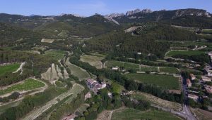 Product image for Micro Cosme Blanc