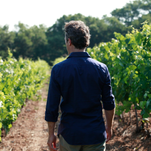 Product image for Olivier Coste Rare Carignan Blanc