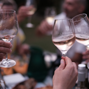 Product image for Domaine Montrose Rose IGP