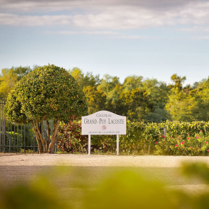 Product image for Chateau Grand Puy Lacoste Pauillac Grand Cru 2019
