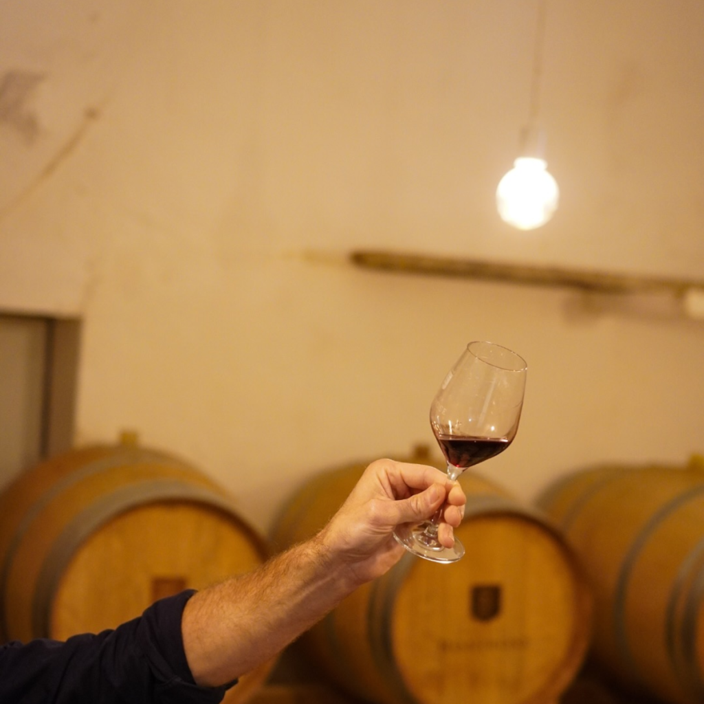 Product image for Olivier Coste Oldstar Carignan Noir