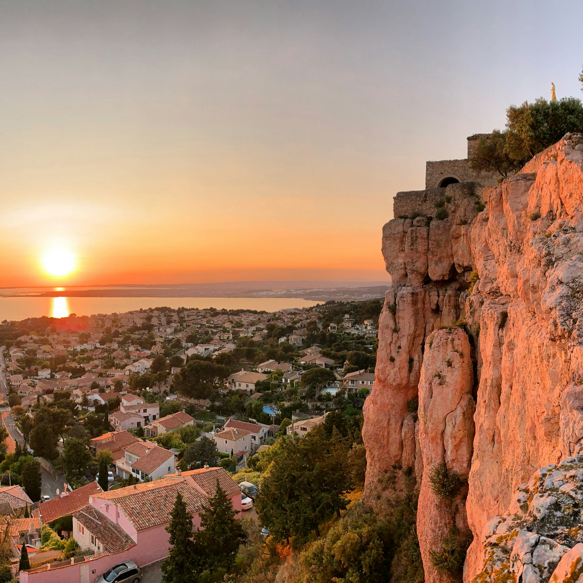 Product image for Le Pive Organic Rose