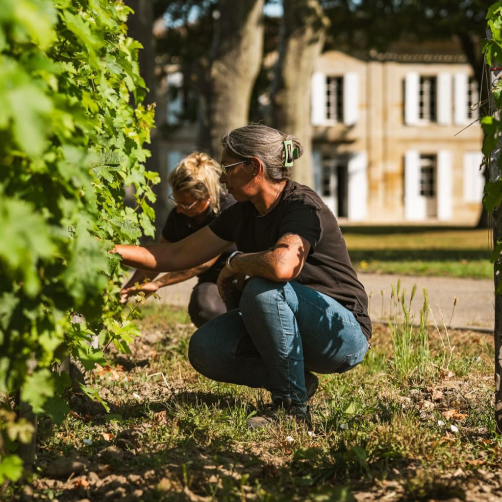 Product image for Chateau La Dominique Saint Emilion 2016