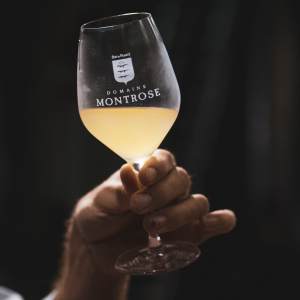 Product image for Olivier Coste Rare Carignan Blanc