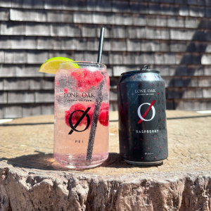 Product image for Lone Oak Brewing - Raspberry Vodka Soda 6pk