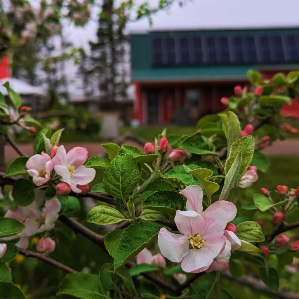 Product image for Deep Roots Distillery - Coffee Liqueur