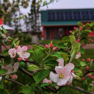 Product image for Deep Roots Distillery - Coffee Liqueur