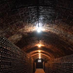 Product image for Pares Balta Rosa Cusine