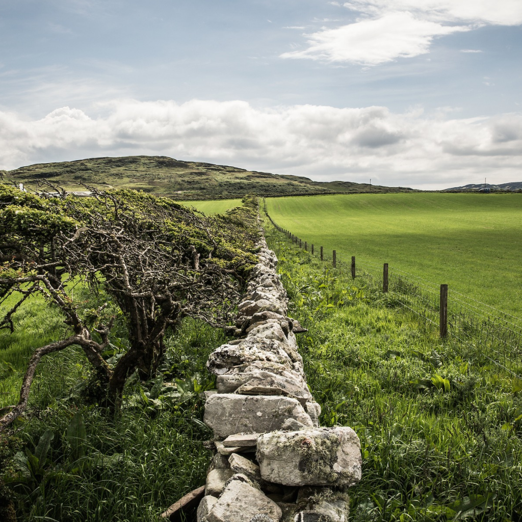 Product image for Bruichladdich The Organic 2011