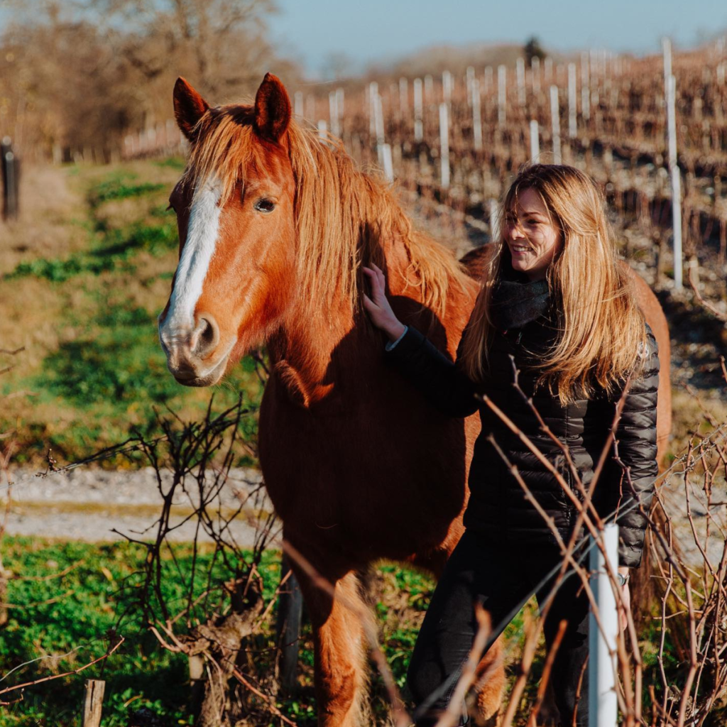 Product image for Chateau Angludet Margaux 2020