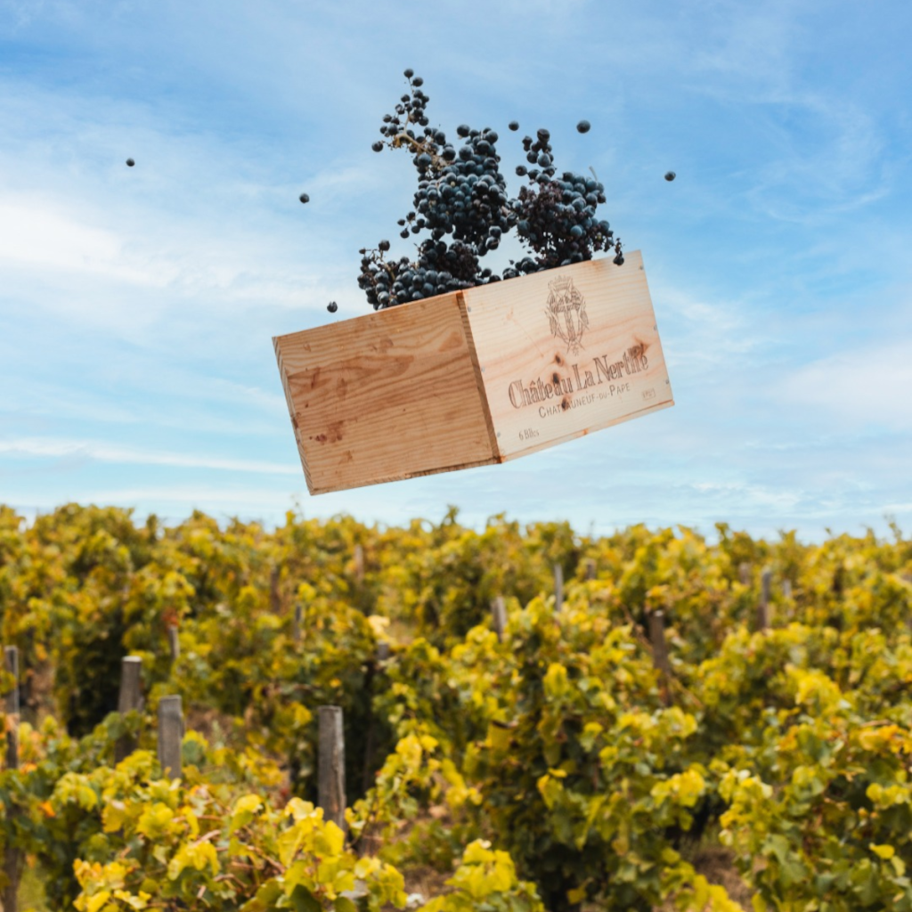 Product image for Chateau La Nerthe Châteauneuf du Pape Rouge